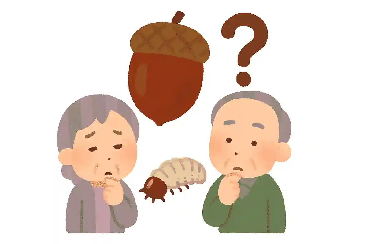ドングリの中によくいる虫は何でしょう