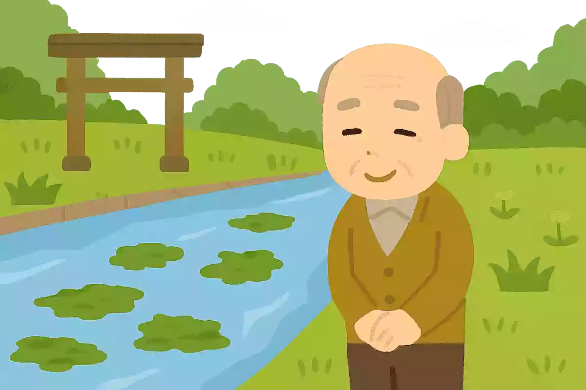 門川に 流れ藻絶えぬ 五月かな