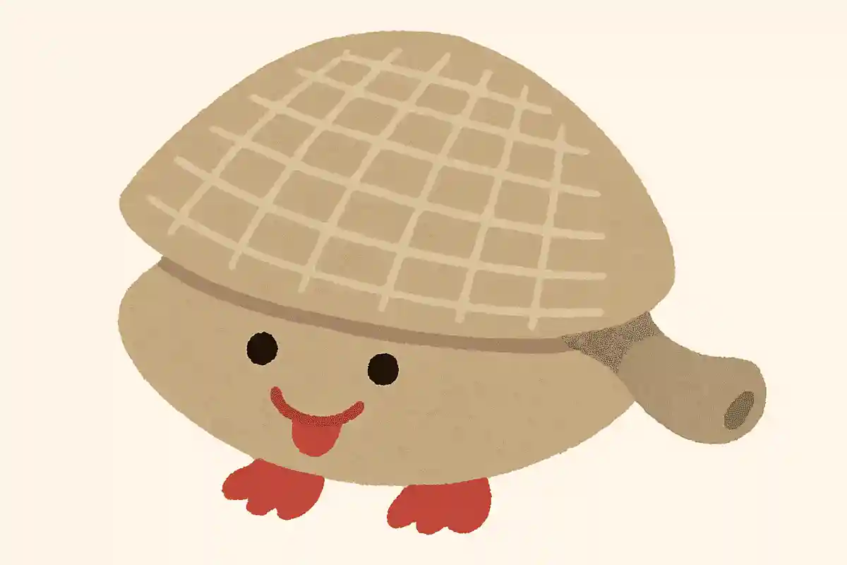 ぬのめあさり（布目浅利）