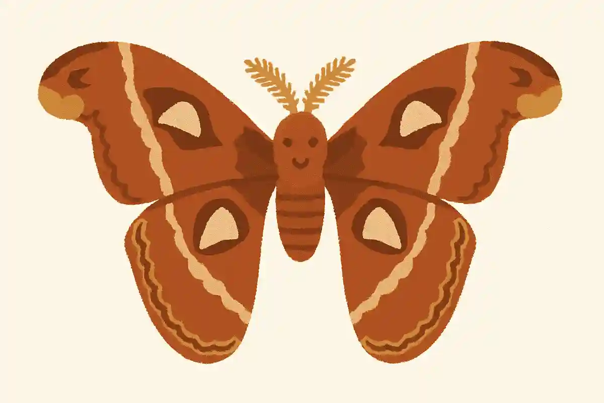 ヨナグニサン(与那国蚕)