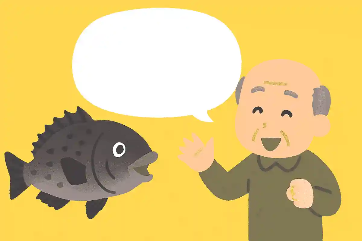 クロダイは3歳になるとどうなるでしょうか?