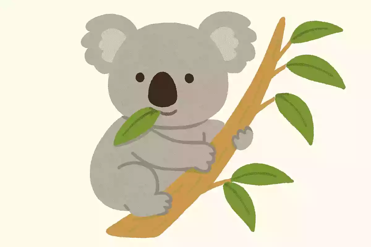 ユーカリのはをたべる、ねるのがだいすきなどうぶつは？