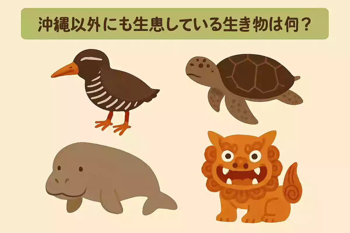 次のうち、沖縄以外にも生息している生き物は何？