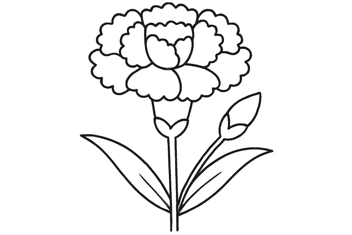 【5月】母の日に使える!カーネーションの塗り絵が無料