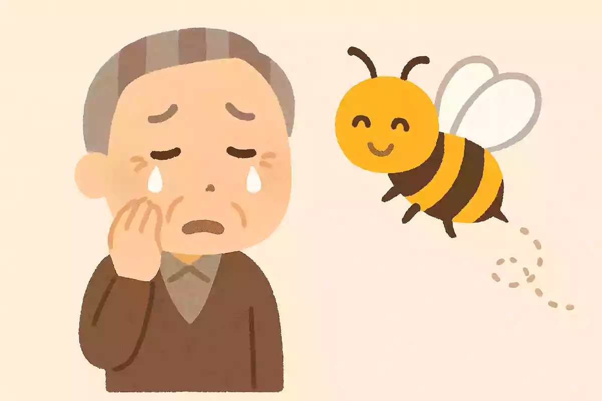 泣き面に〇〇