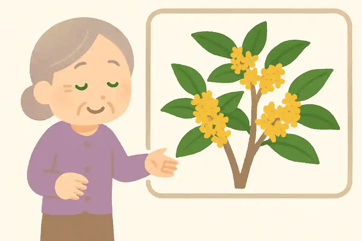 10月の初旬頃に咲く、甘い匂いの植物は何でしょうか?