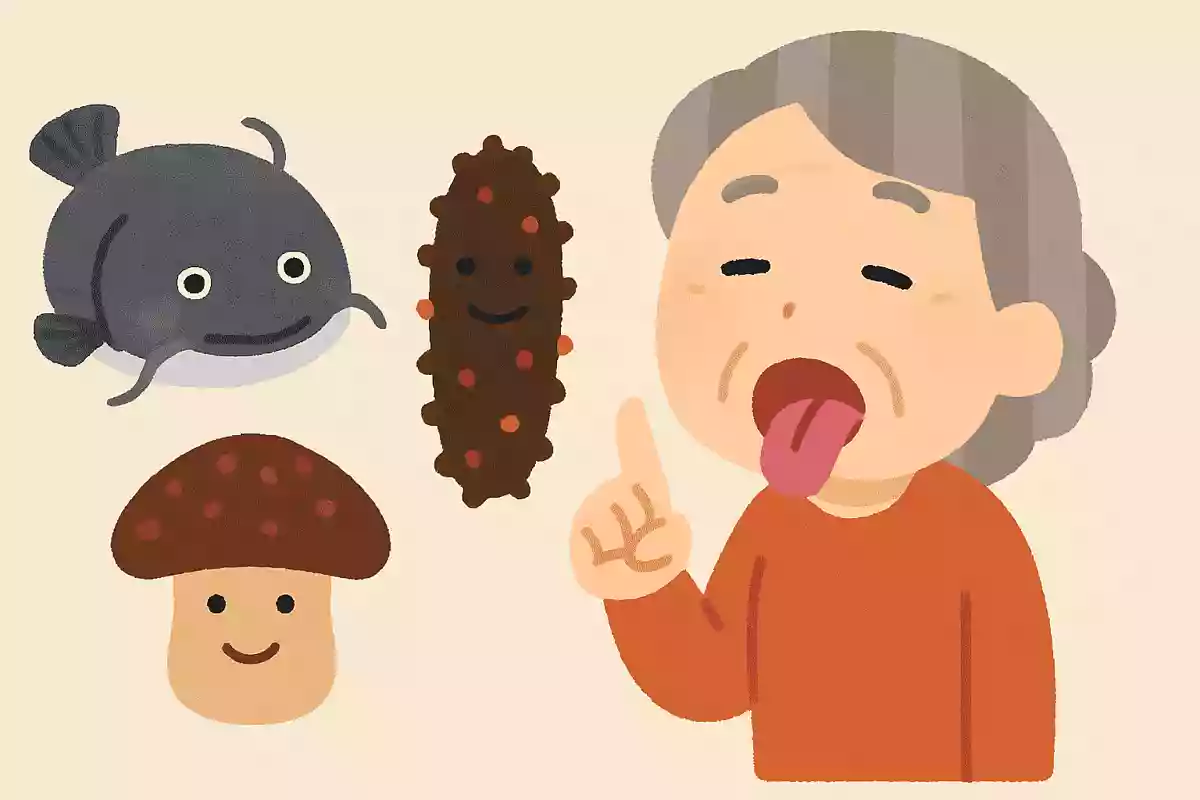 生なまず生なまこ生なめこ