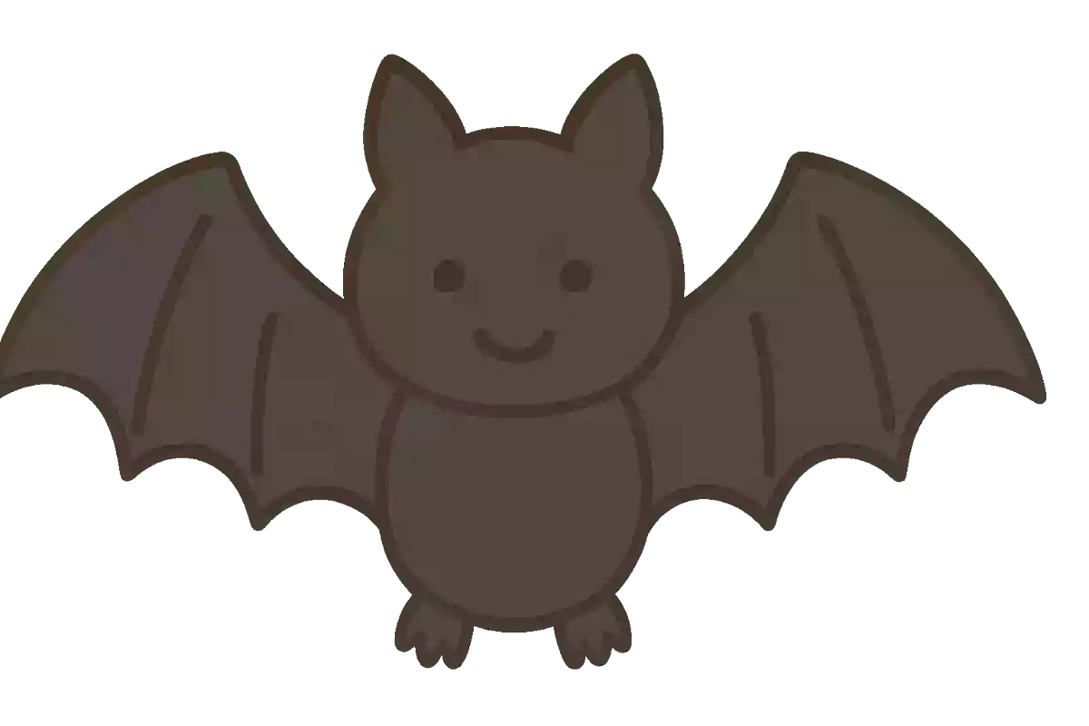コウモリ