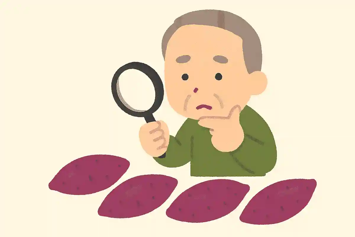 美味しい芋の見分け方は？