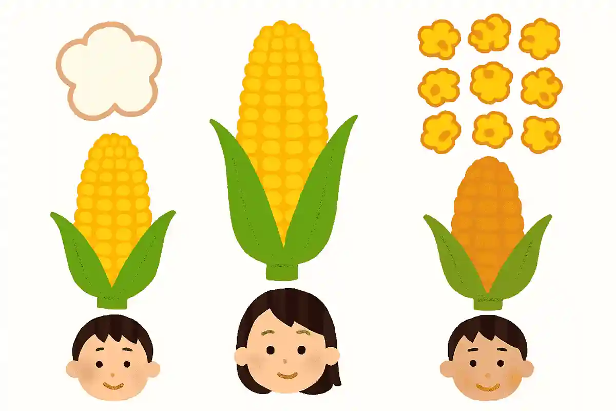 ポップコーンは次のうちどのとうもろこしで作られるでしょうか？