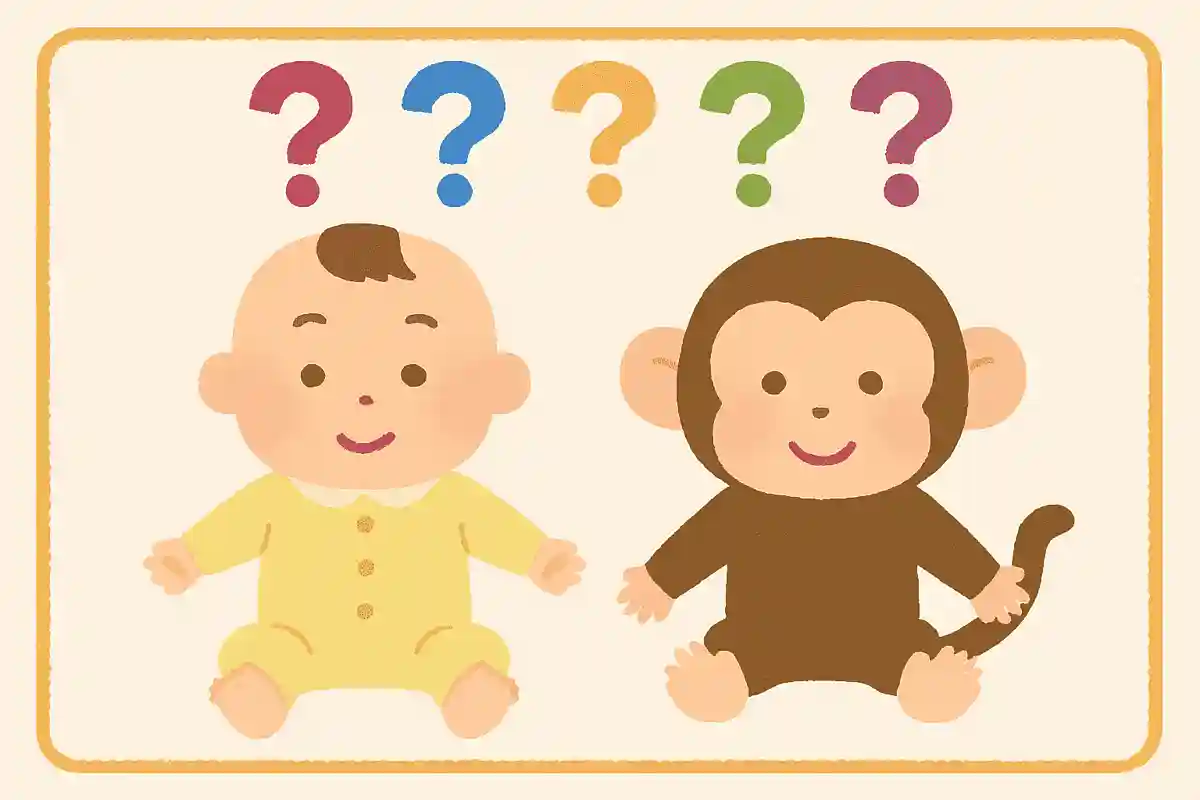 人間の赤ちゃんとサルの赤ちゃんはどちらが大きいでしょう。