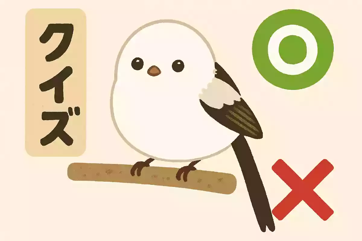 シマエナガはペットとして飼育できる、○か×か