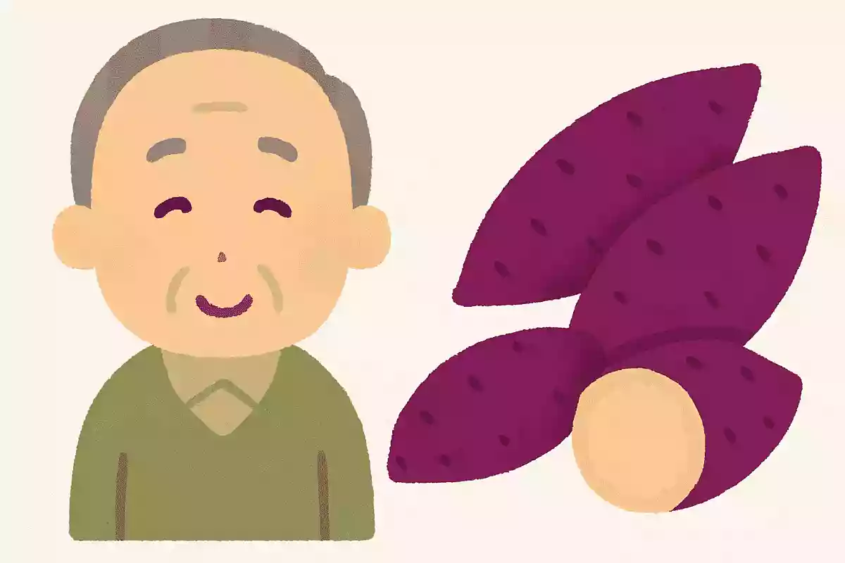 国内で栽培されているさつまいもは何種類あるでしょうか