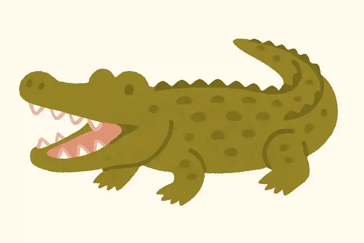 ナイルワニ（ナイル鰐）