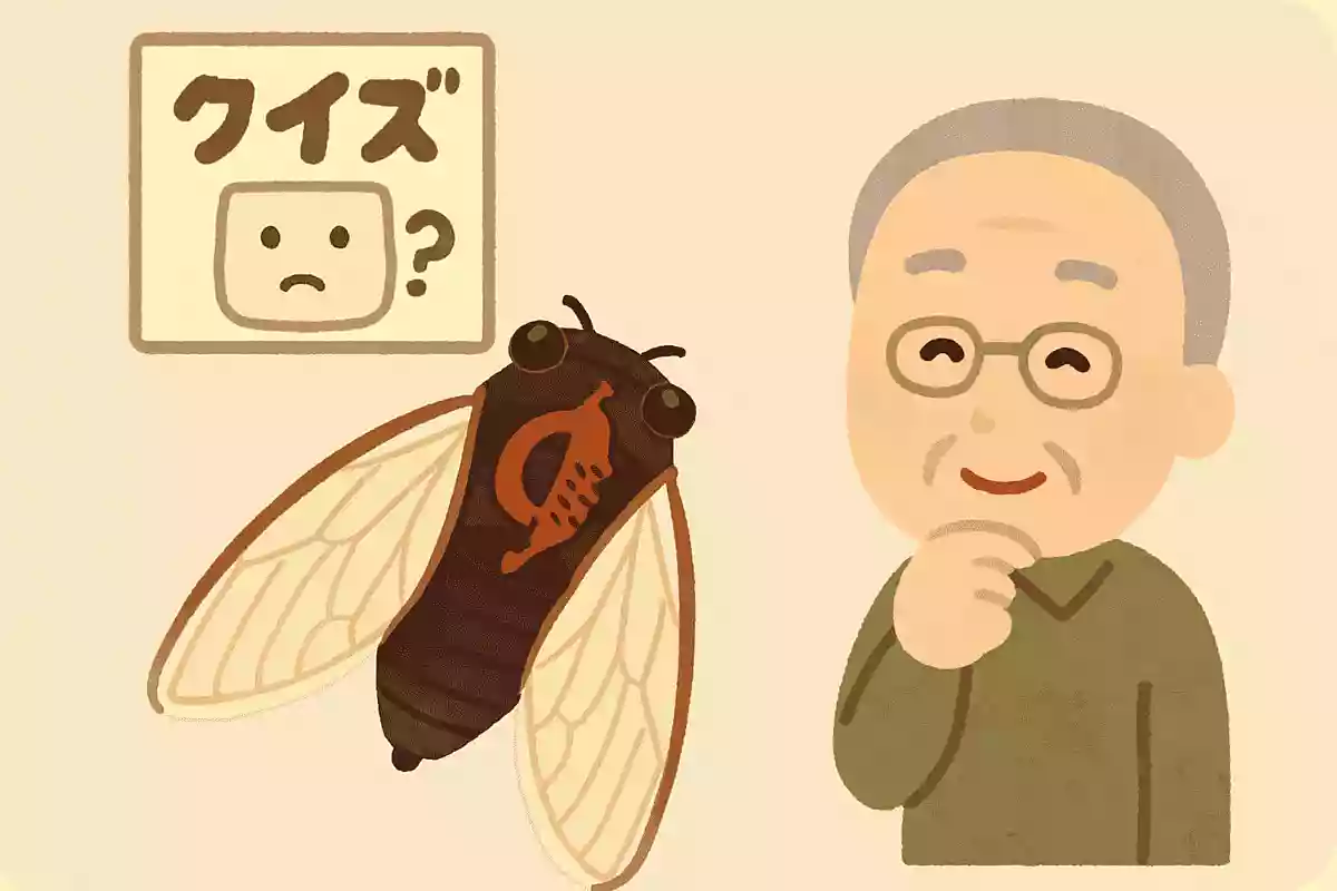 【高齢者向け】昆虫の雑学クイズ＆豆知識問題