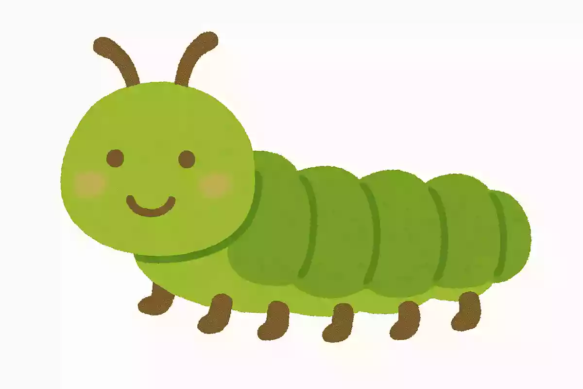 ズイムシ