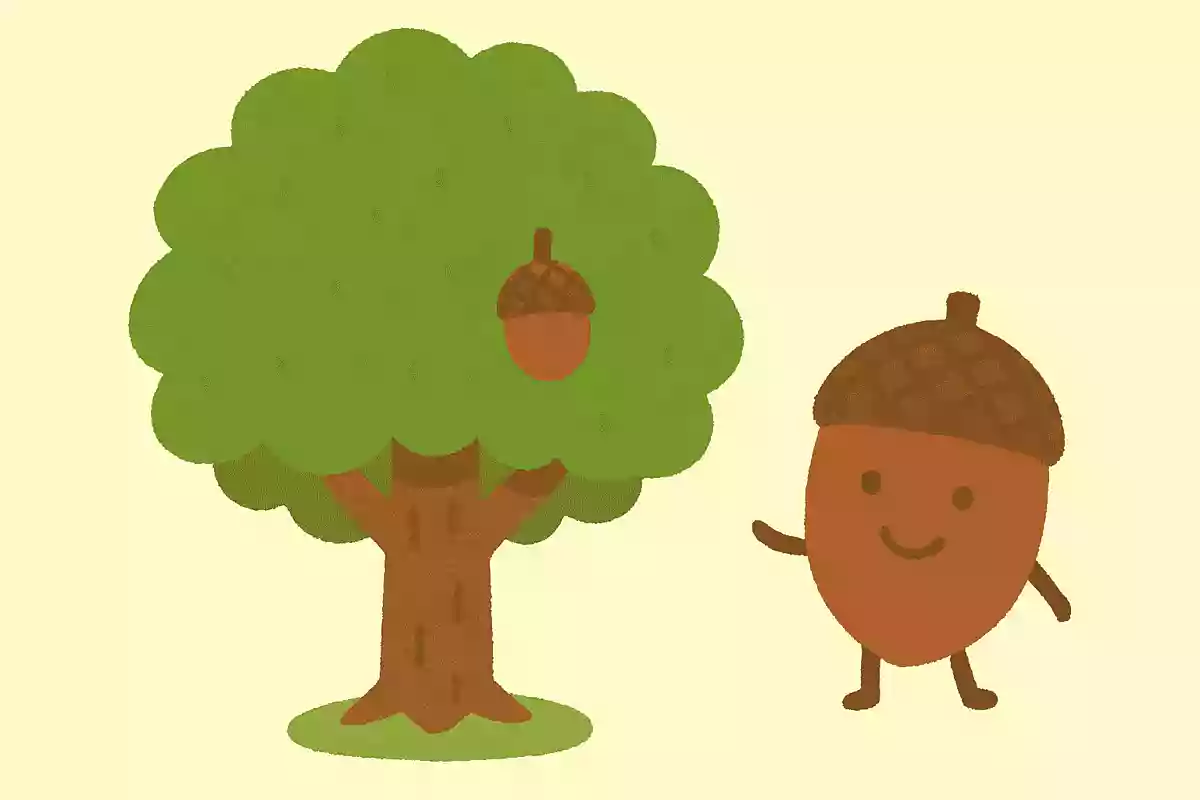 秋になると実をつけるどんぐりは、何の木にできるでしょうか?