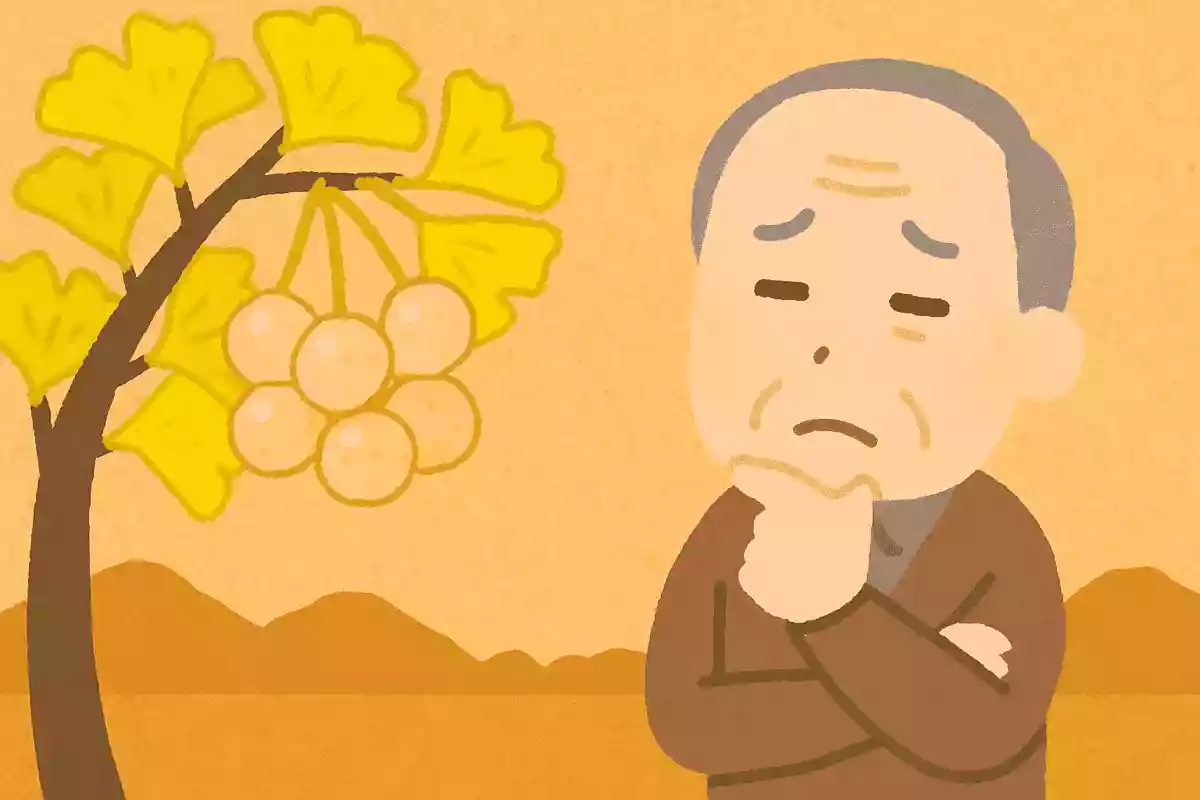 秋にたくさん実る「ぎんなん」は、たくさん食べない方がよいとされています。それはなぜでしょうか？