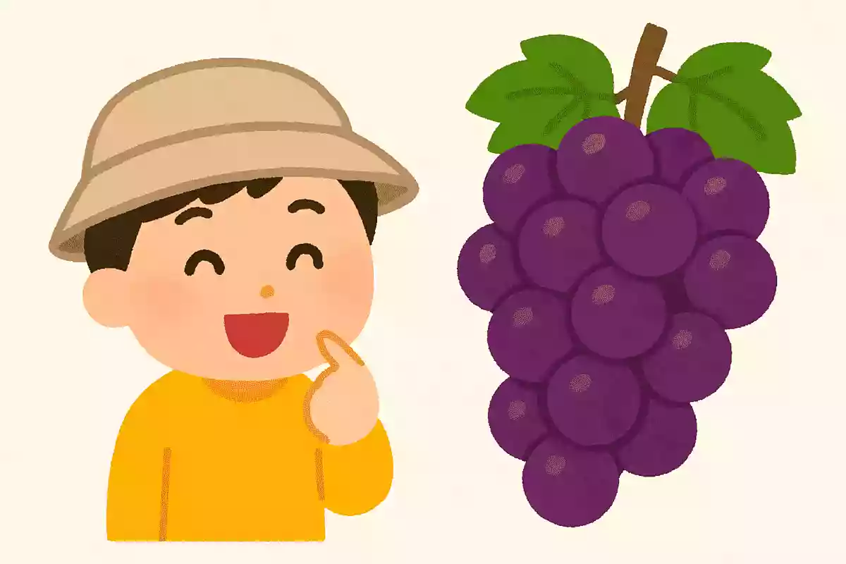 秋に食べるとおいしい沢山の丸い実がついている果物はなんでしょうか?