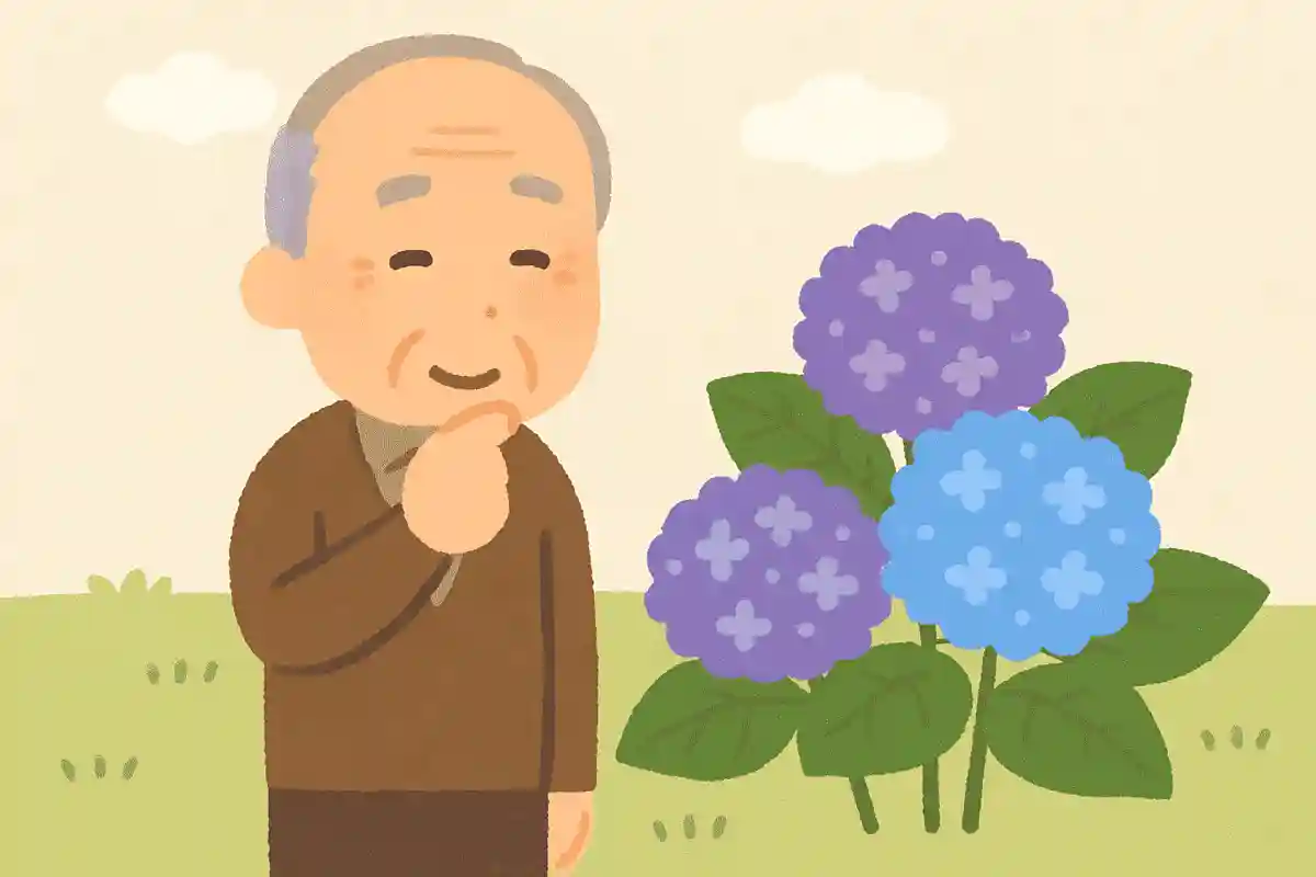 日本最古の紫陽花は何というでしょう