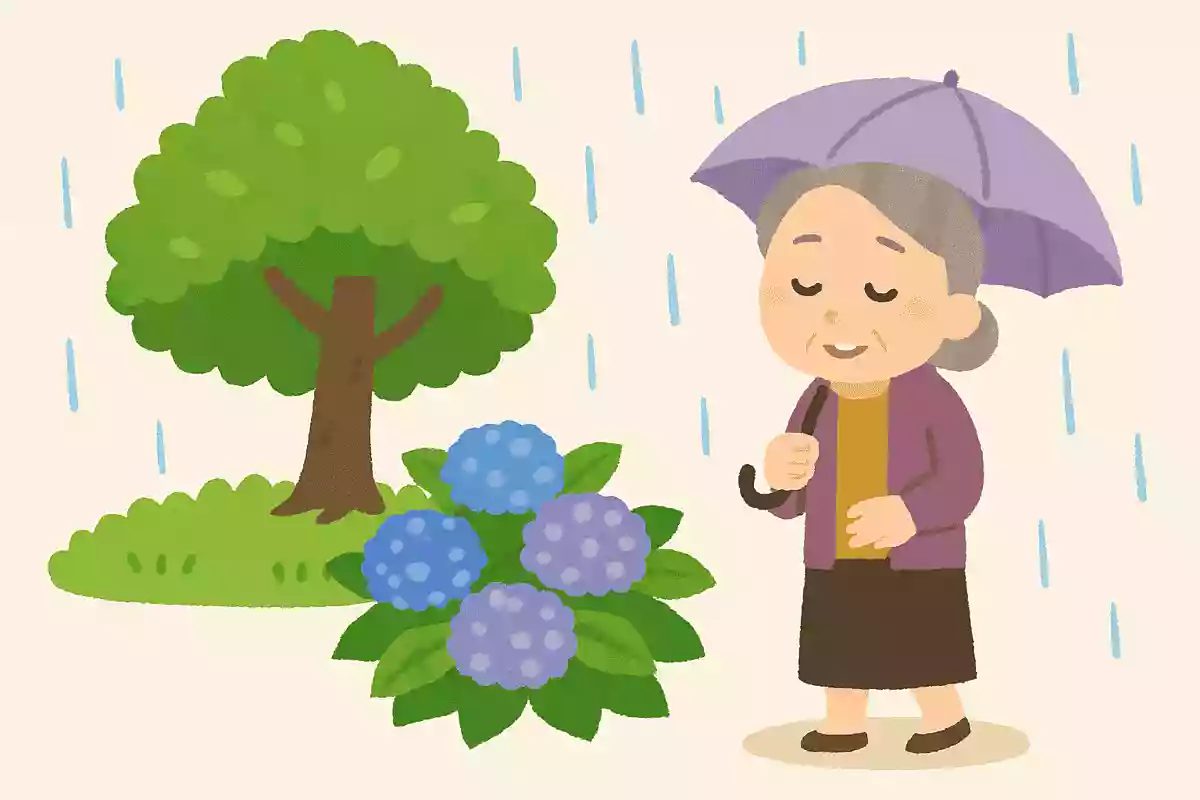 樹も草も しづかにて梅雨 はじまりぬ