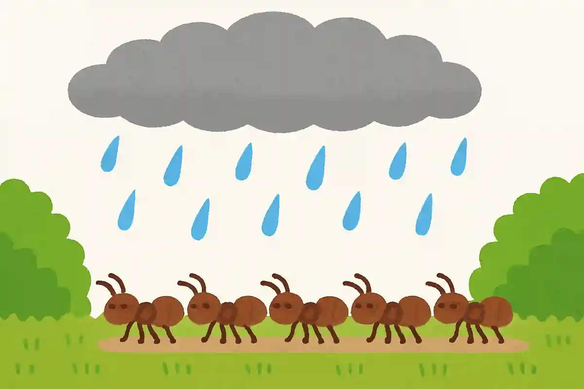 アリが行列を作ると雨が降る