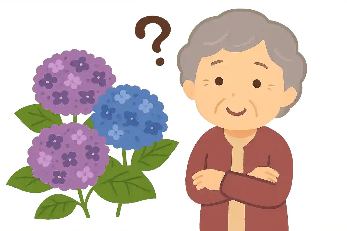 「あじさい」を漢字で書くとどんな字になるでしょうか