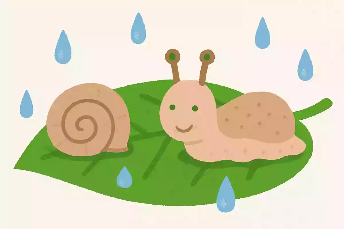 梅雨の時期にみられるカタツムリの殻をとるとどうなるでしょうか