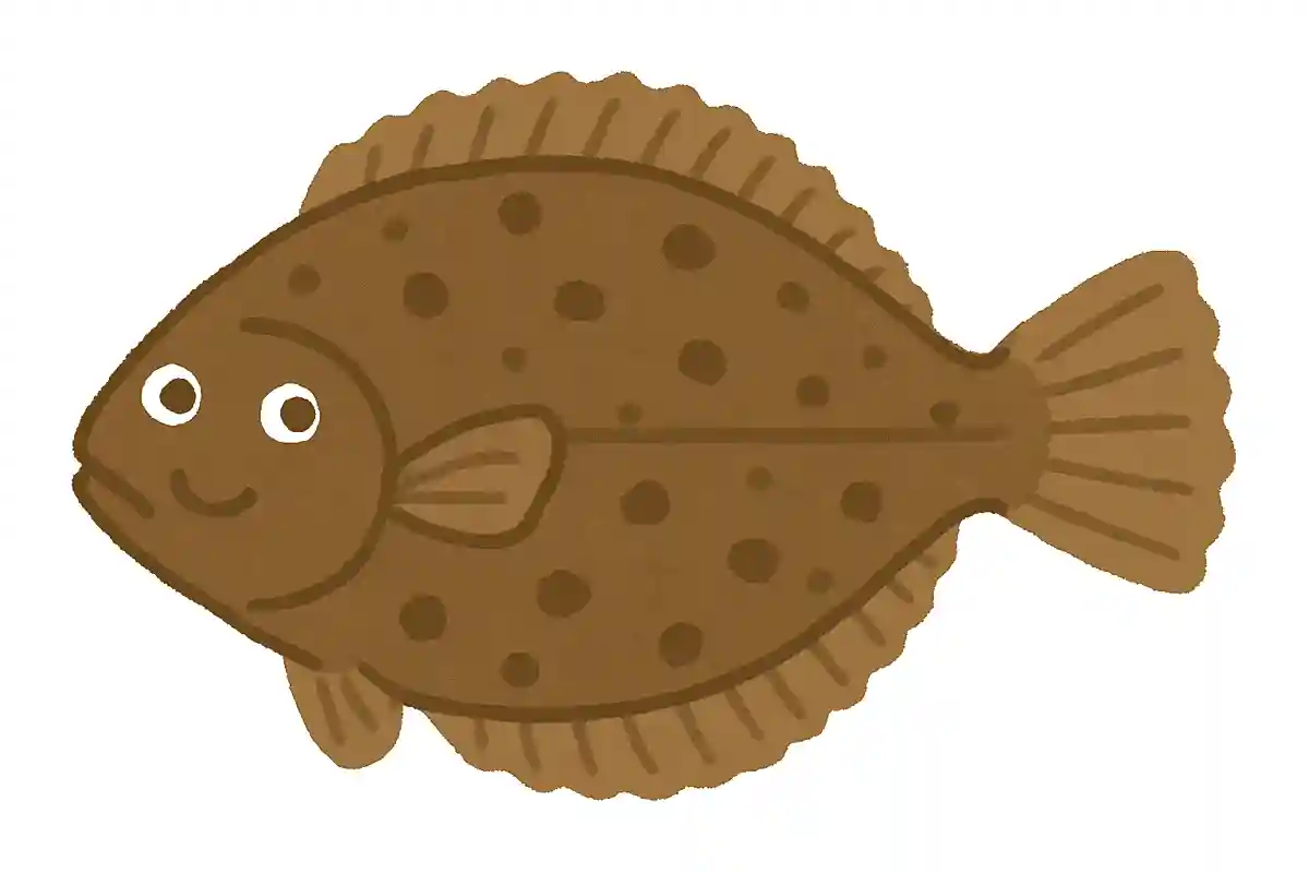 ぬまがれい（沼鰈）