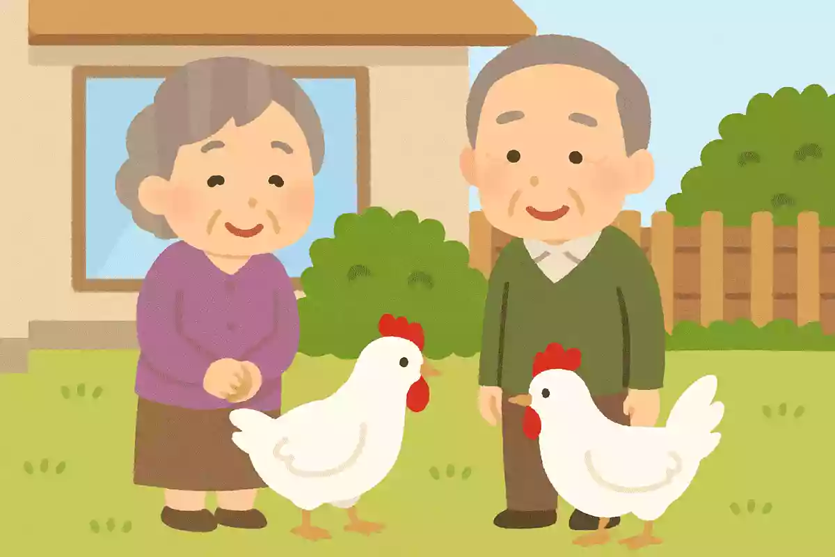 庭には二羽にわとりがいる
