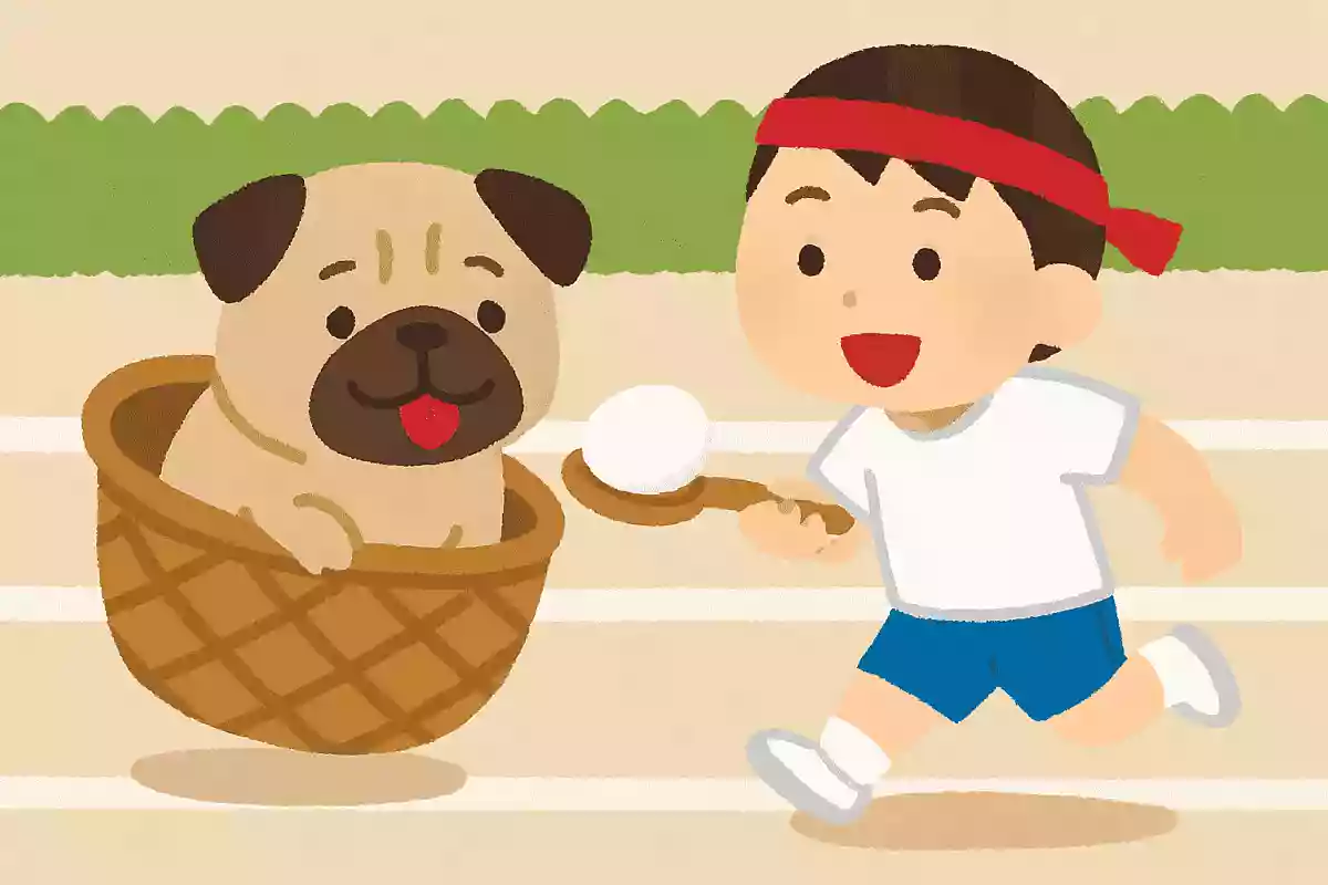 どんなかごにもププッと入れます！
