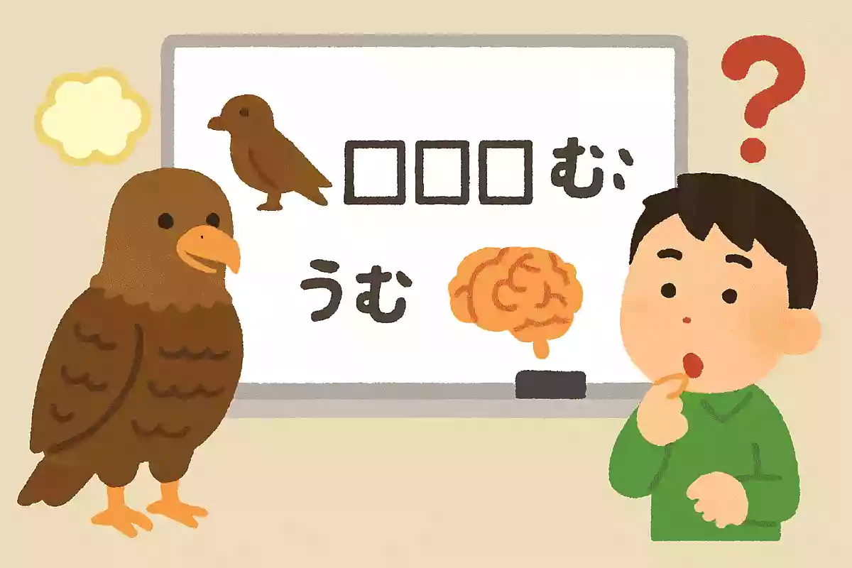 トビが〇〇を生む