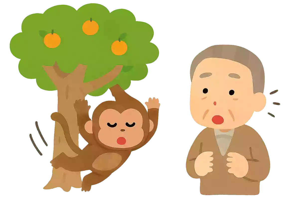 〇〇も木から落ちる