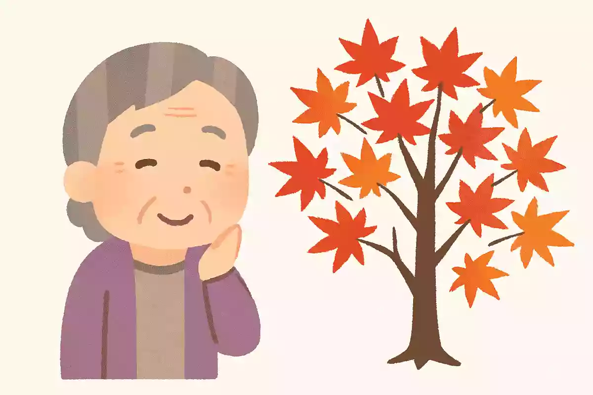 綺麗な紅葉になるもみじですが、人間と同じようにあるものは何でしょうか?