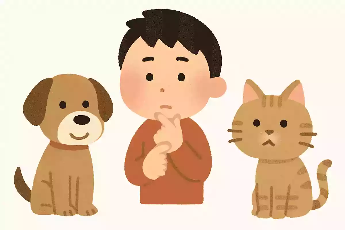 犬 or 猫、どちらかにしか触れない体になるとしたらどっち？