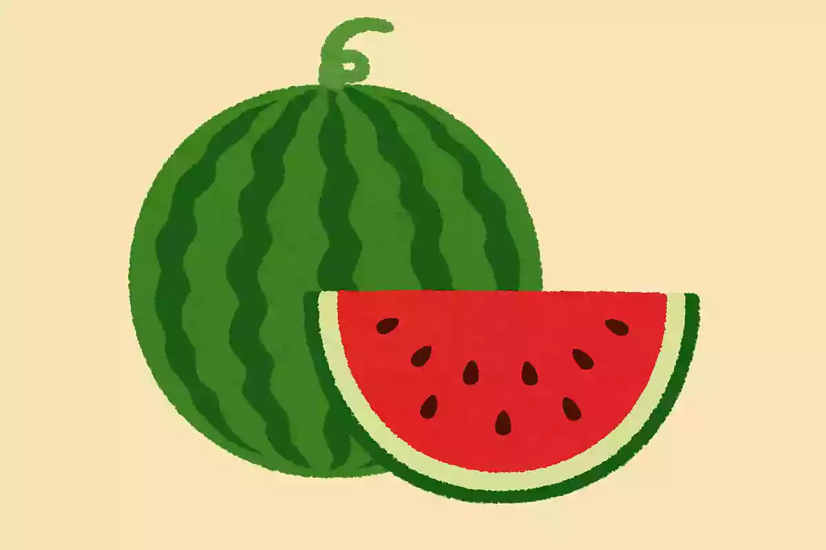 大きな丸くてみどり色のギザギザ柄のお洋服を着ていて中は真っ赤で食べたら甘い夏のくだものはなんでしょう?