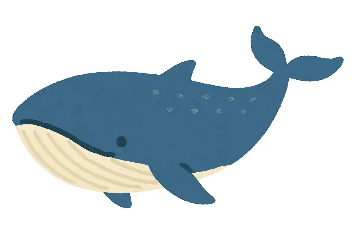 ナガスクジラ（長須鯨）