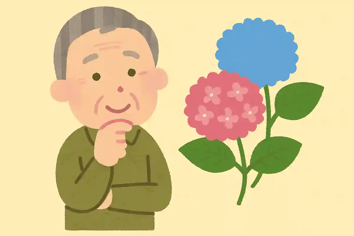 紫陽花の原産はどこの国でしょうか。