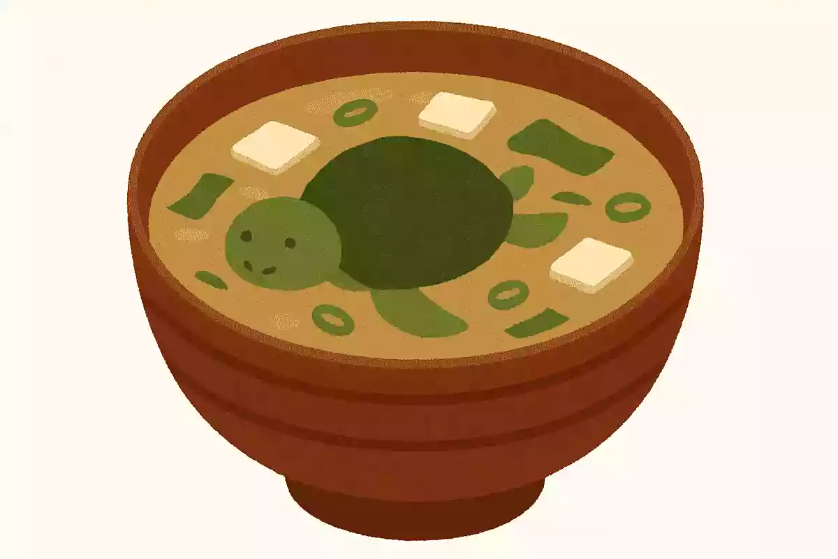 味噌汁のなかで泳ぐカメ、どんなカメ？