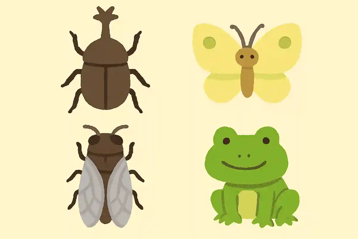 この中で昆虫ではないのは何でしょう？