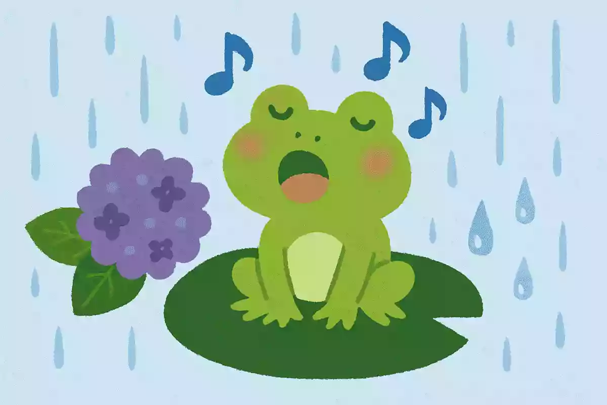 カエルがよく鳴いていると雨が降る