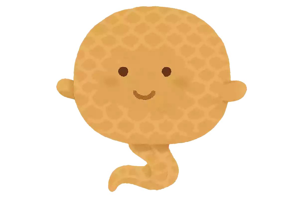 ミノ