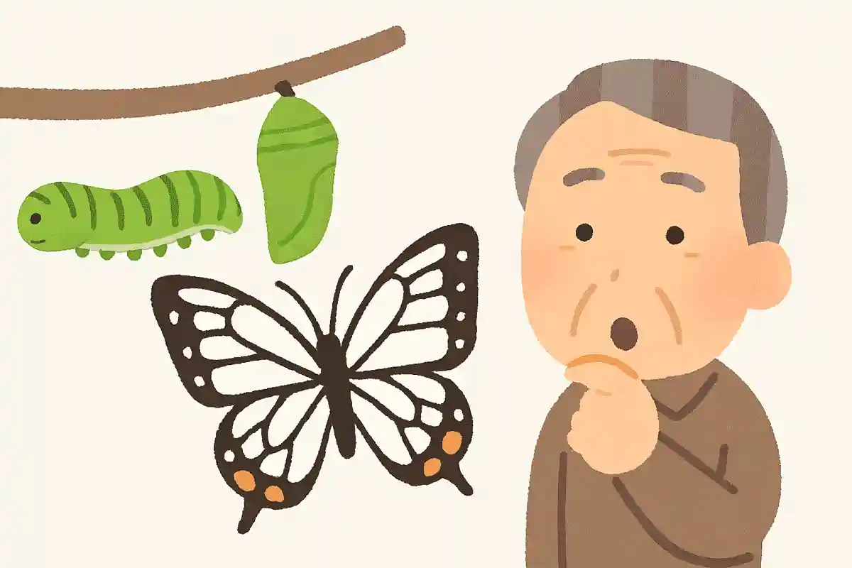 アオムシからサナギ、チョウになることを何というでしょうか？