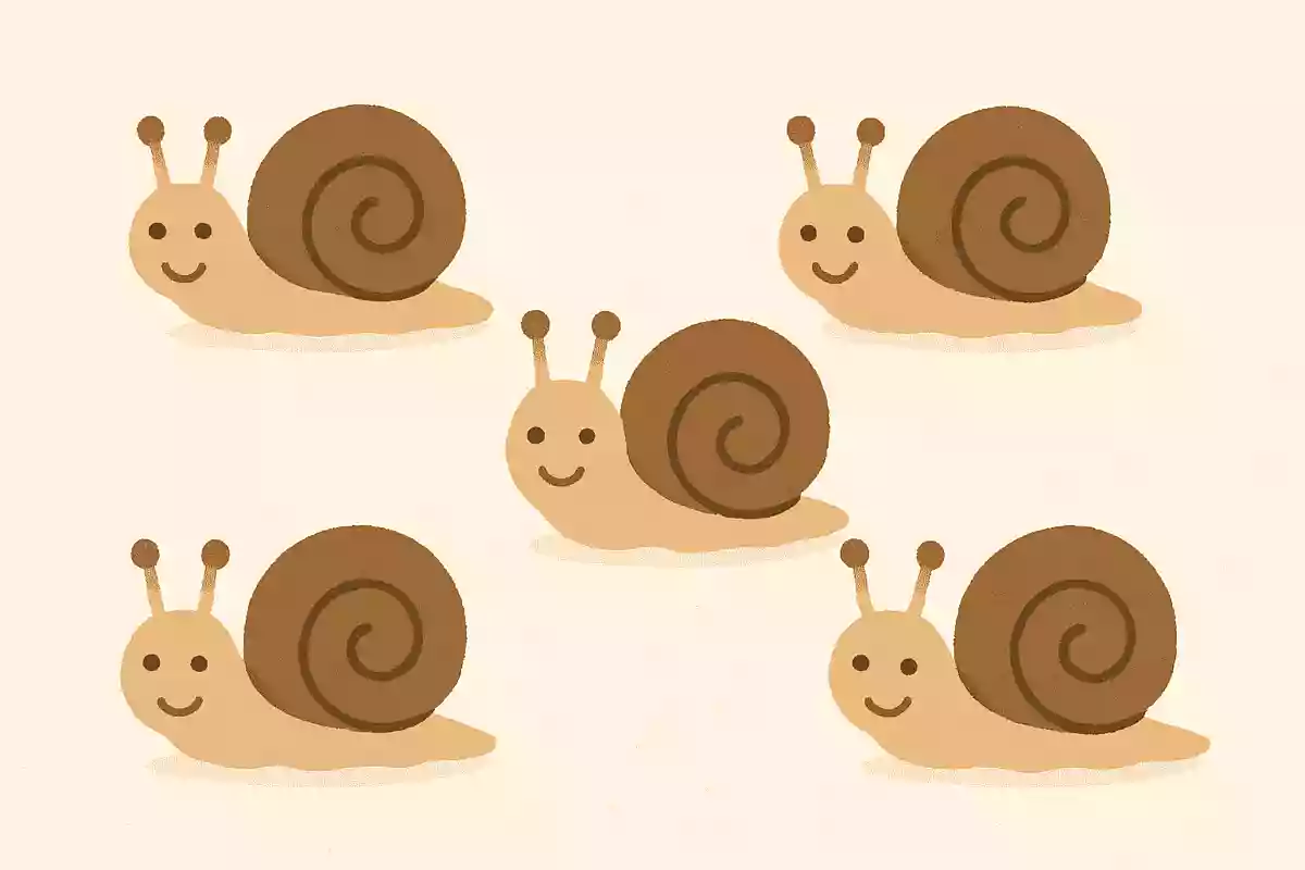 カタツムリの前に2匹のカタツムリがいます。カタツムリの後ろにも2匹のカタツムリがいます。真ん中にもカタツムリが1匹います。カタツムリは全部で何匹いるでしょうか？