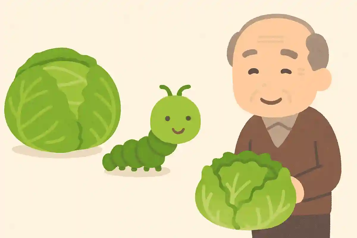 青虫はキャベツは食べるが、レタスは食べない