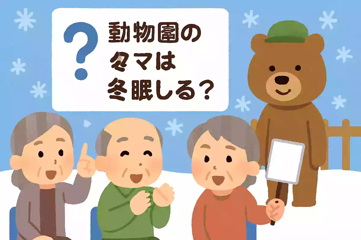 野生のクマは冬眠しますが、動物園のクマは冬眠するでしょうか?