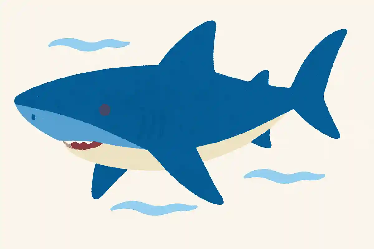 ヨシキリザメ(葦切鮫)