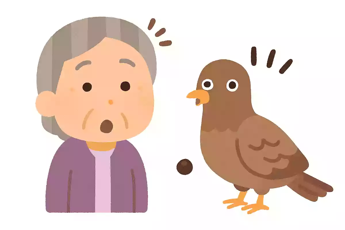 〇〇が豆鉄砲を食ったよう