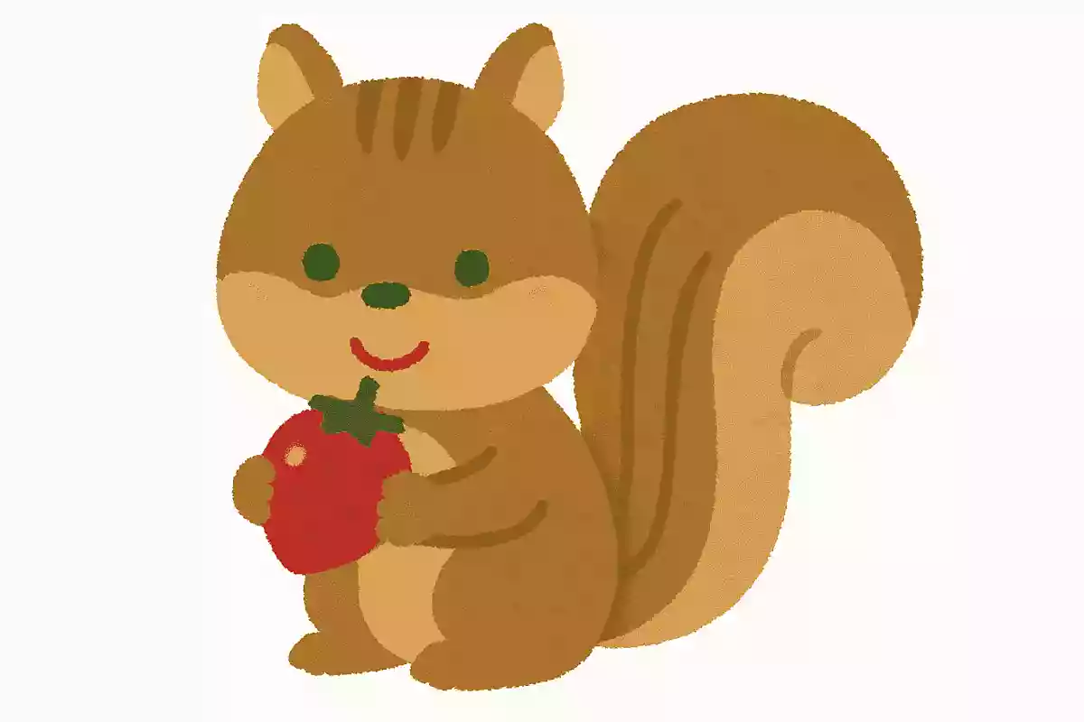 きのみがだいすきでふわふわのしっぽをもっているちいさなどうぶつは?