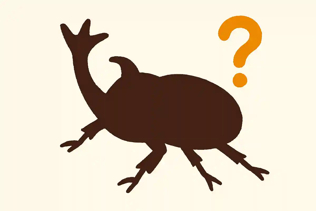 「カブトムシ」のツノは何本以上でしょうか?